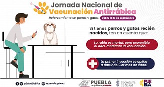 Protege a tus mascotas: Vacunación antirrábica gratuita en Puebla del 22 al 28 de septiembre