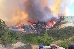 Detienen a sospechosos por incendios en Puebla y Tlaxcala: “Son ecocidas”
