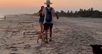 Extranjera agrede a perro y a hombre en playa de Oaxaca