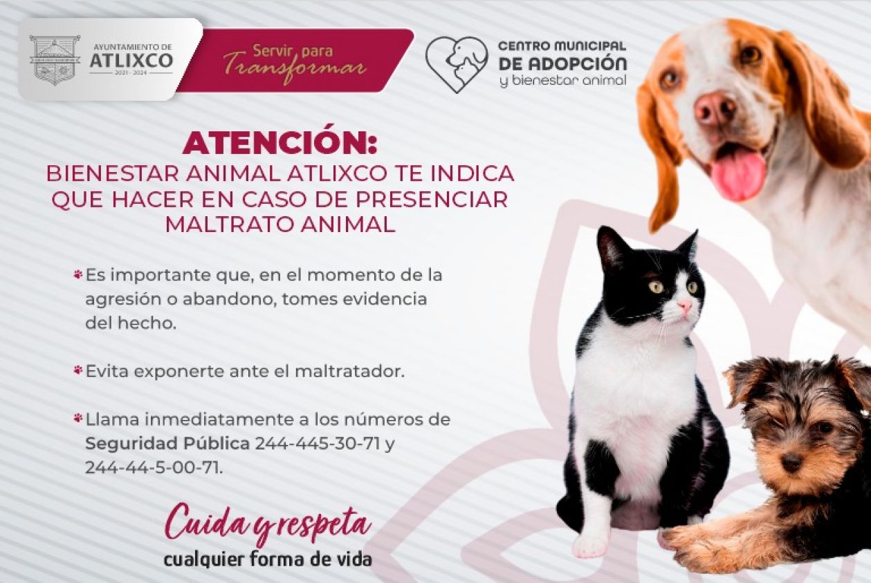 bienestar animal Atlixco