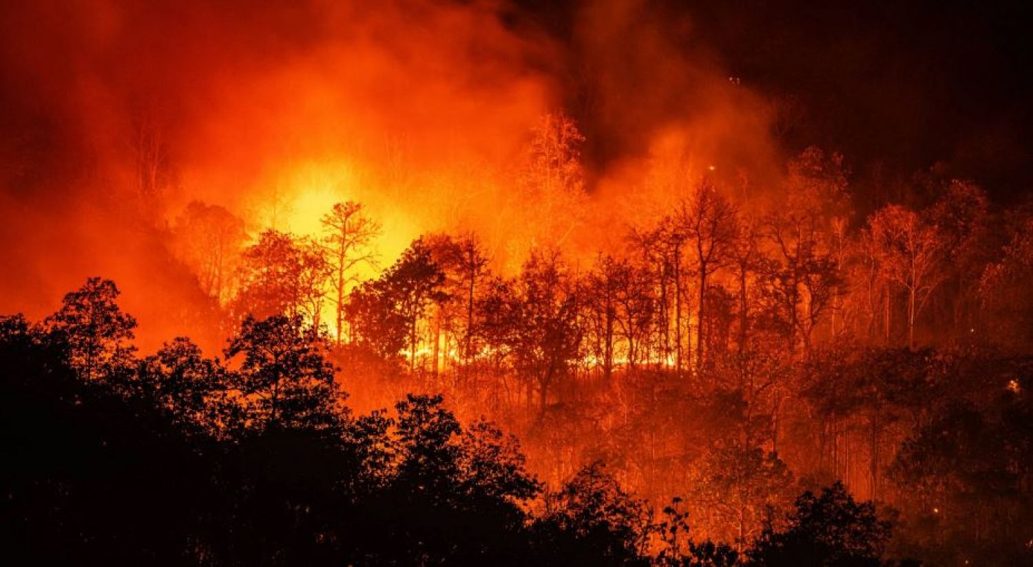 Incendios forestales