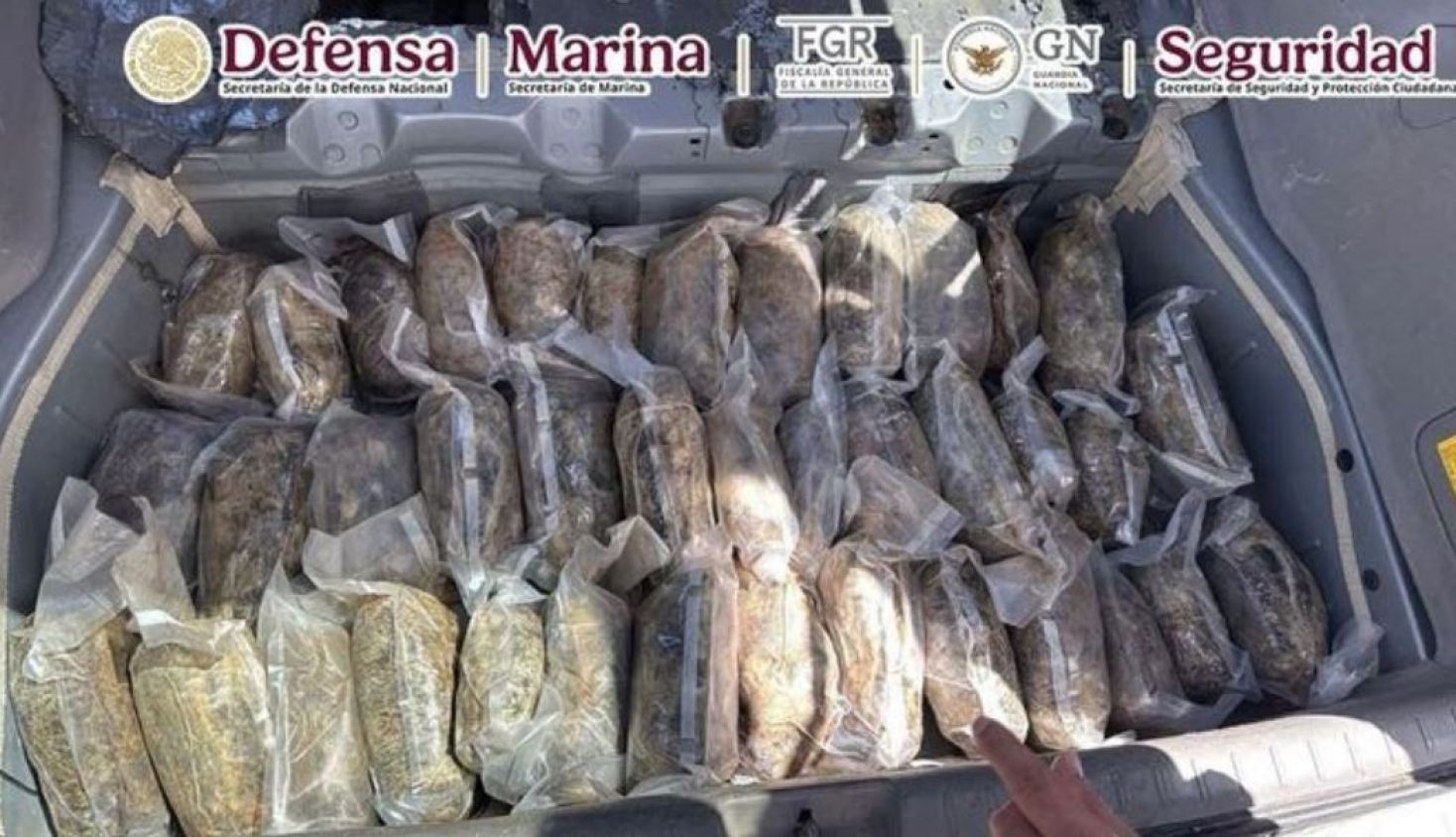 Coordinación federal asegura droga en carreteras de Durango y Coahuila