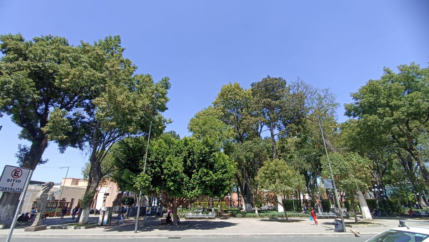 Elección judicial en Tlaxcala enfrenta desinterés ciudadano masivo