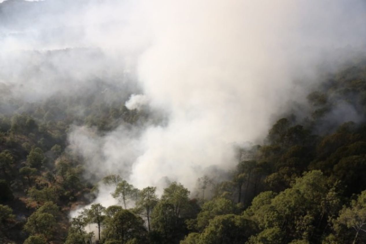 Detienen a dos en Puebla por incendios forestales 