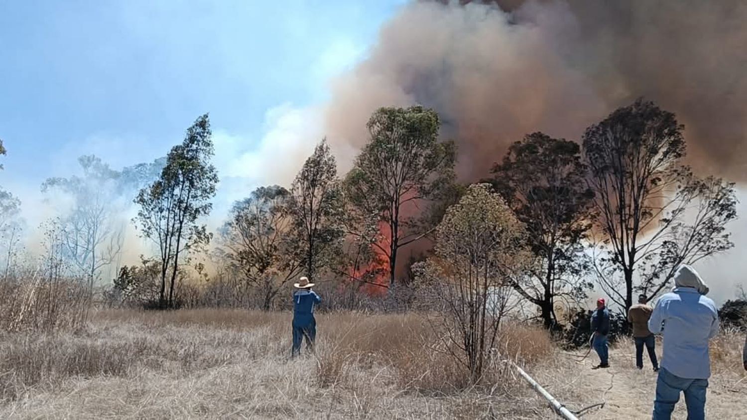 Rescatan fauna silvestre en Tlaxcala tras incendios forestales recientes