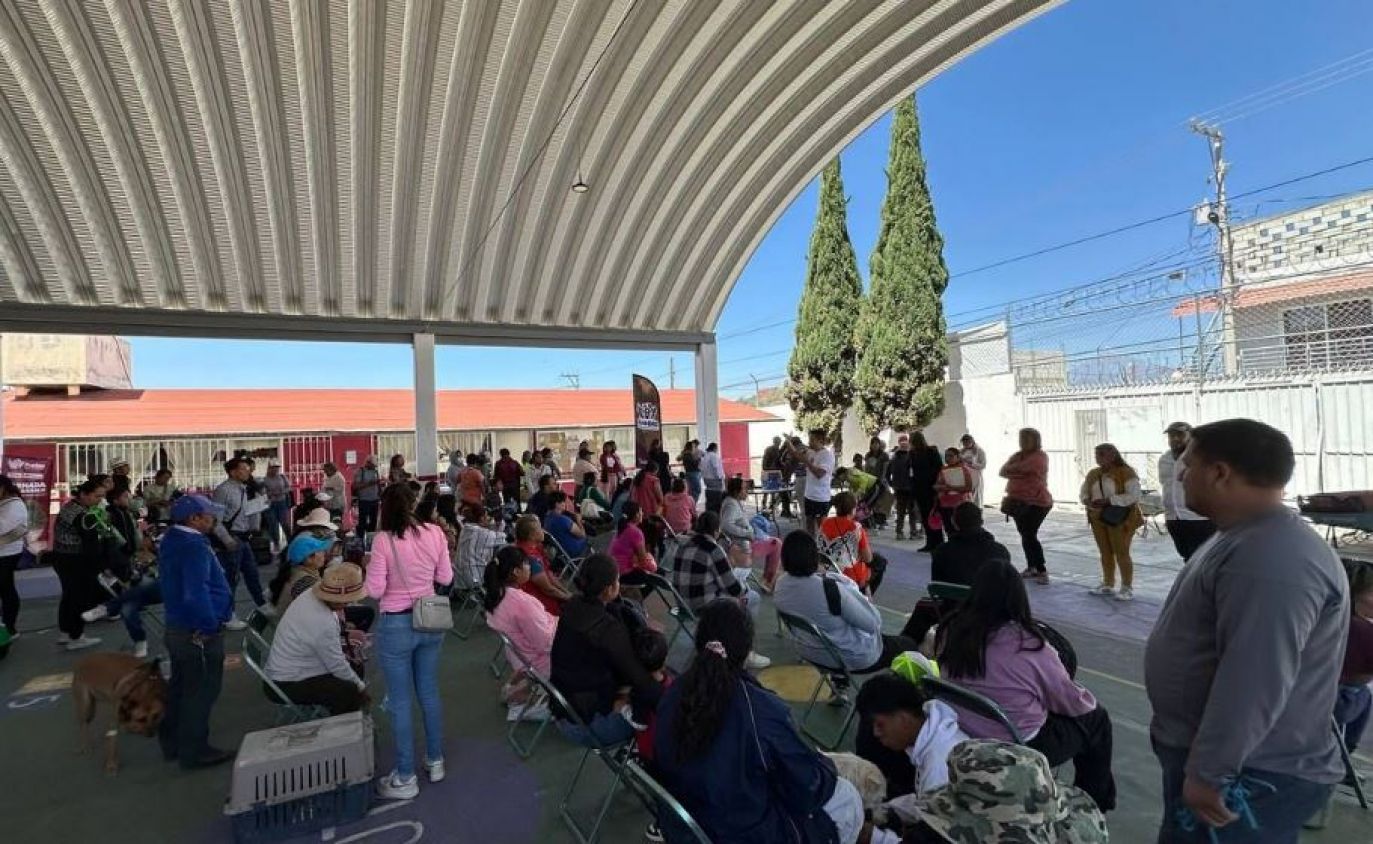 Servicios gratuitos para el bienestar animal en Valle del Paraíso