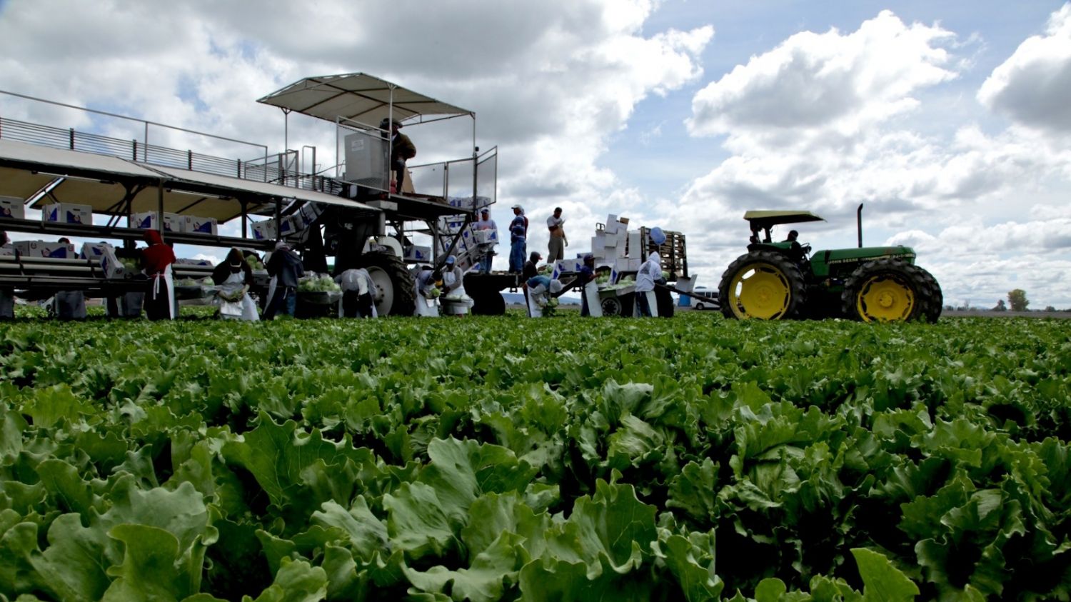 Tlaxcala enfrenta baja económica, pero destaca en sectores clave