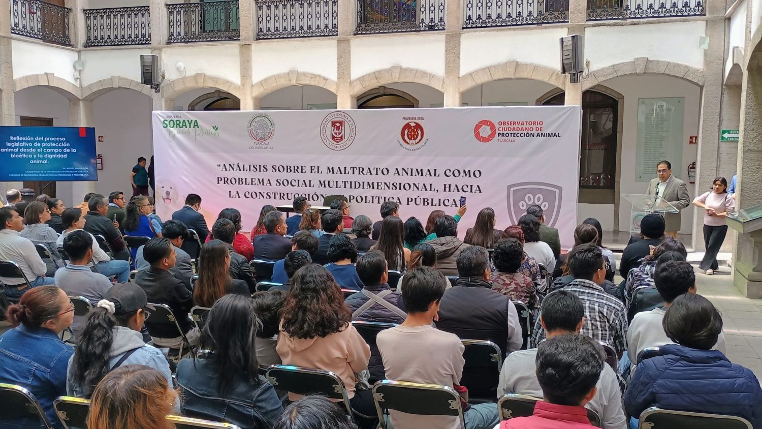 Maltrato Animal: Un problema social que requiere políticas públicas efectivas