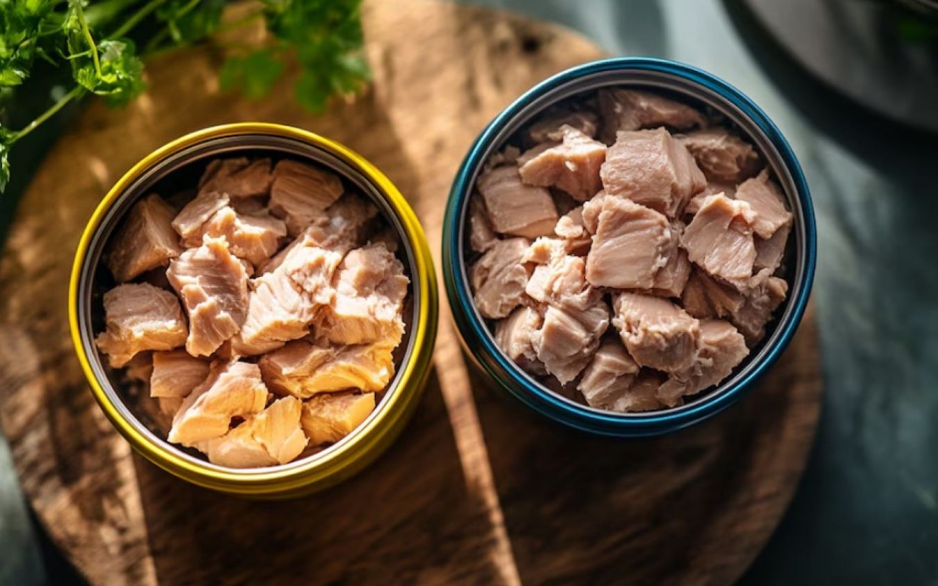 Atún enlatado: práctico, nutritivo y versátil