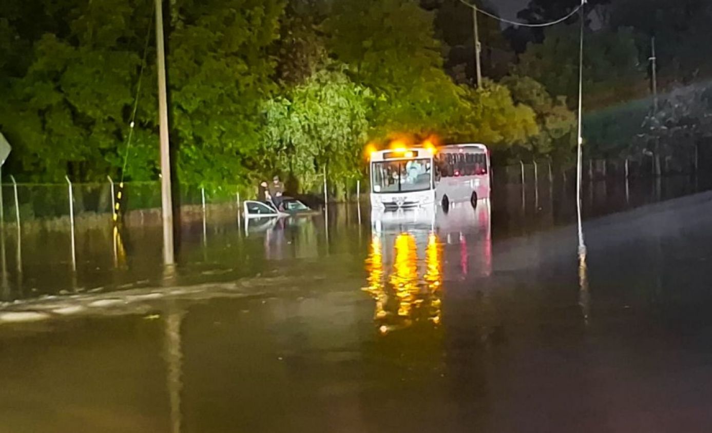 Intervención inmediata de la Policía Auxiliar