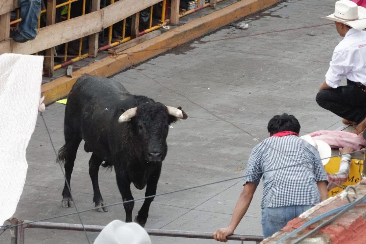 Pese a nuevas normas huamantlada deja ocho lesionados, uno de gravedad