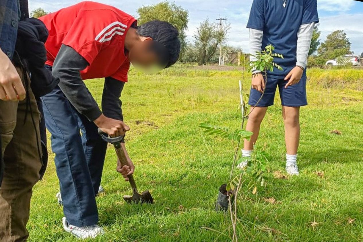 Reforestan laguna de Acuitlapilco con apoyo ciudadano en Tlaxcala