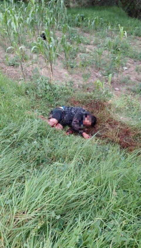 Siete canes se adueñan de Aquiahuac en Contla, masculino resulta con lesiones