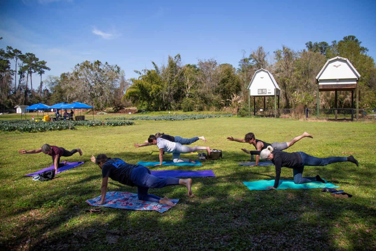 Por qué la mayoría abandona sus propósitos y cómo evitarlo