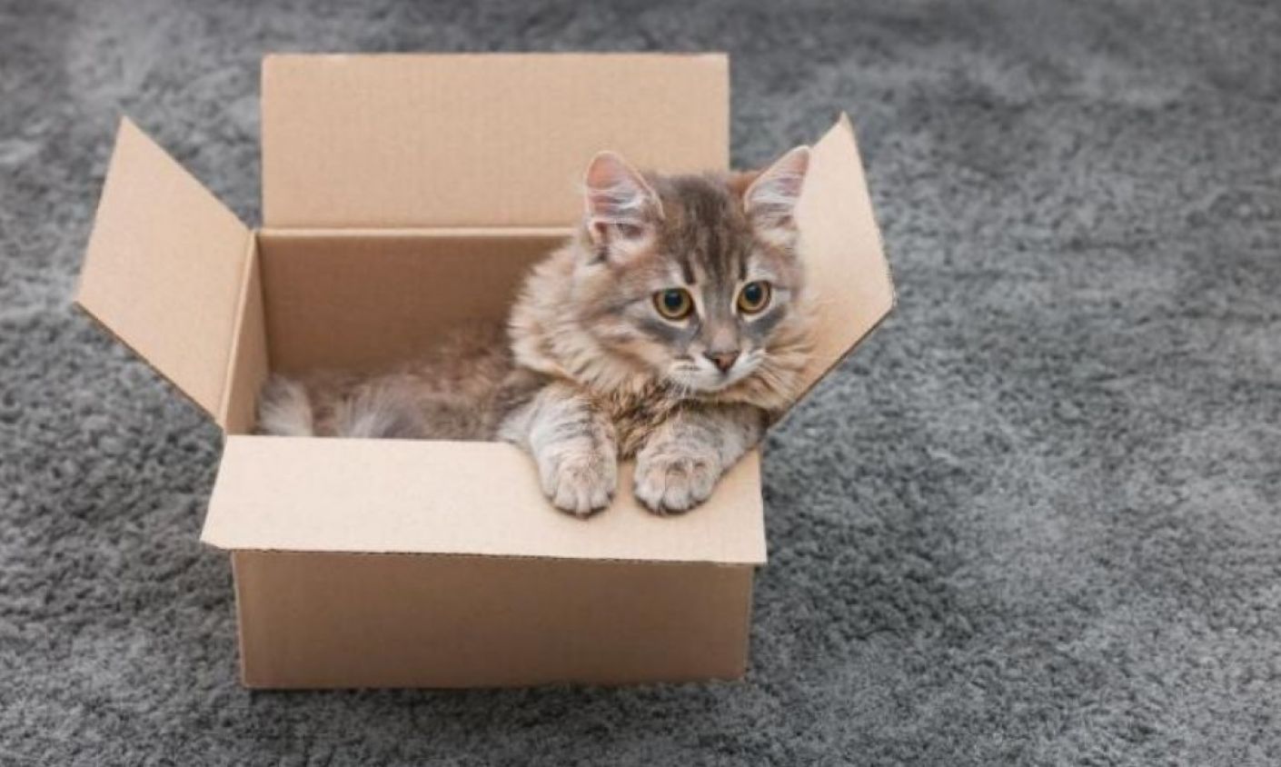 Un instinto natural que sigue más vivo que nunca