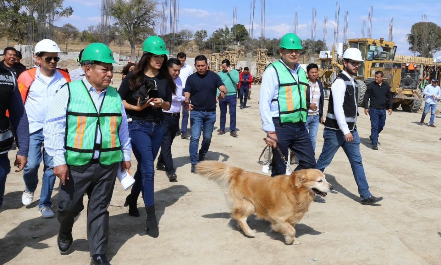 Un llamado urgente para estas fechas