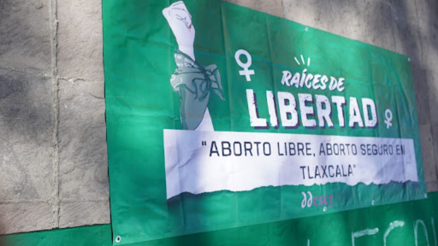 Tlaxcala en la mira: ¡Exigen ya eliminar la criminalización del aborto!