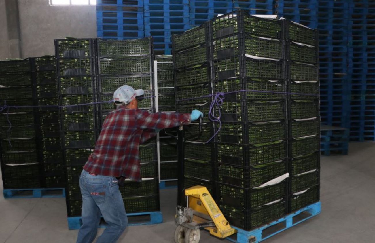 Puebla impulsa el transporte aéreo de productos agrícolas con Aeropuerto de Huejotzingo