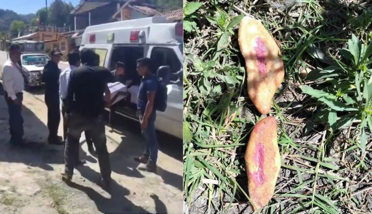 Tres niñas pierden la vida por ingerir pan envenenado en Chiapas