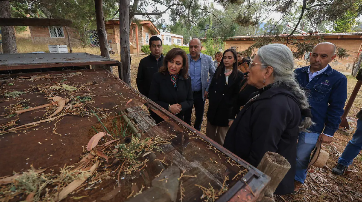 Gobierno de Tlaxcala analiza plan para impulsar la bioconstrucción