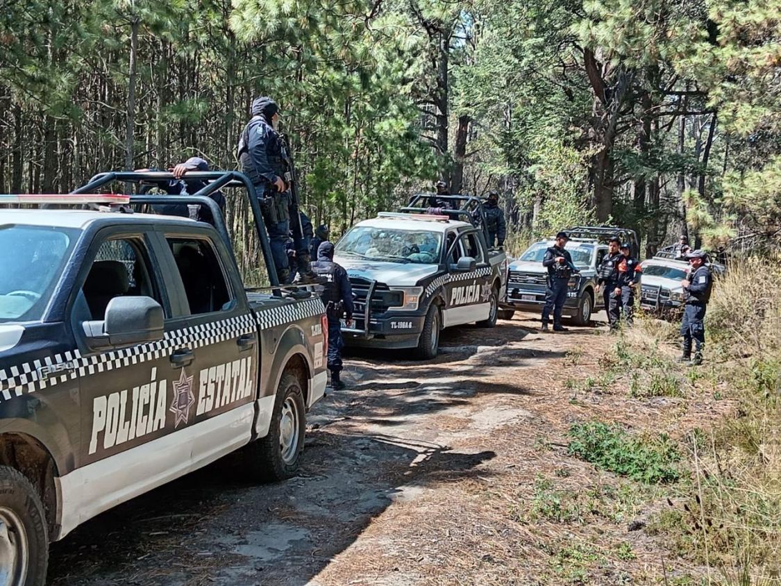 Operativo de seguridad en La Malinche asegura 91 troncos de tala ilegal