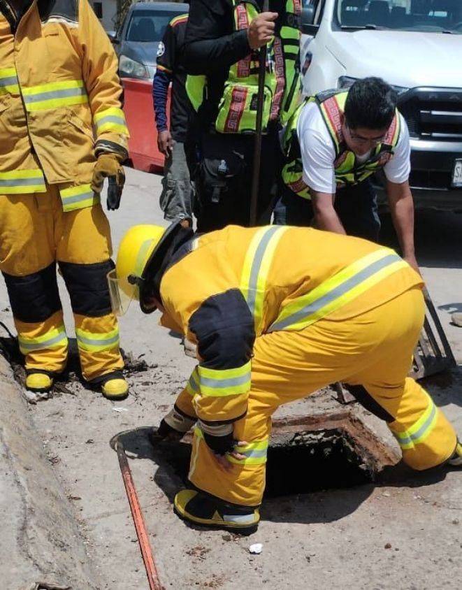 Rescatan a perrito atrapado en alcantarilla gracias a la oportuna respuesta de Bomberos y Protección Civil