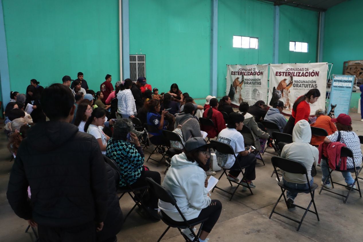 Refuerzan en Cuautlancingo jornada gratuita de esterilización y vacunación antirrábica