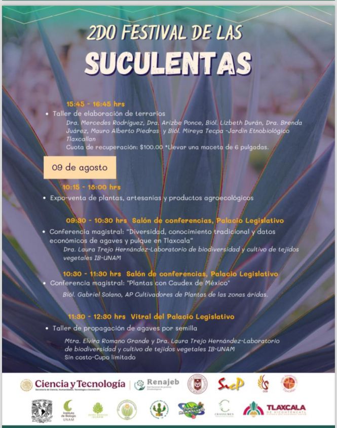 Vive el Segundo Festival de Suculentas en Tlaxcala, 8 al 10 de agosto