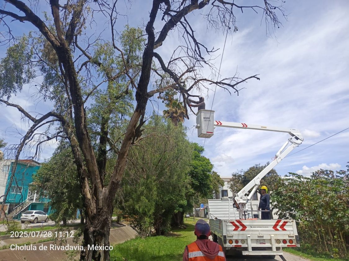 Gobierno de Cholula refuerza acciones de mantenimiento en espacios públicos y áreas verdes