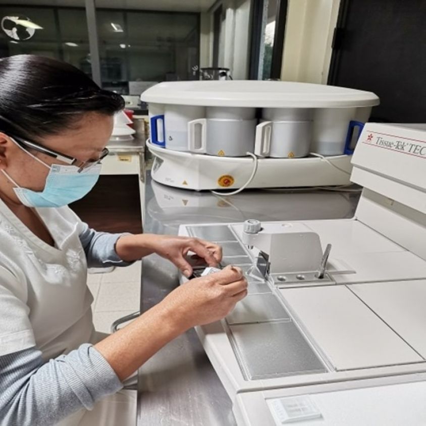 Cuida tu salud: Paquete médico especial para hombres disponible en junio