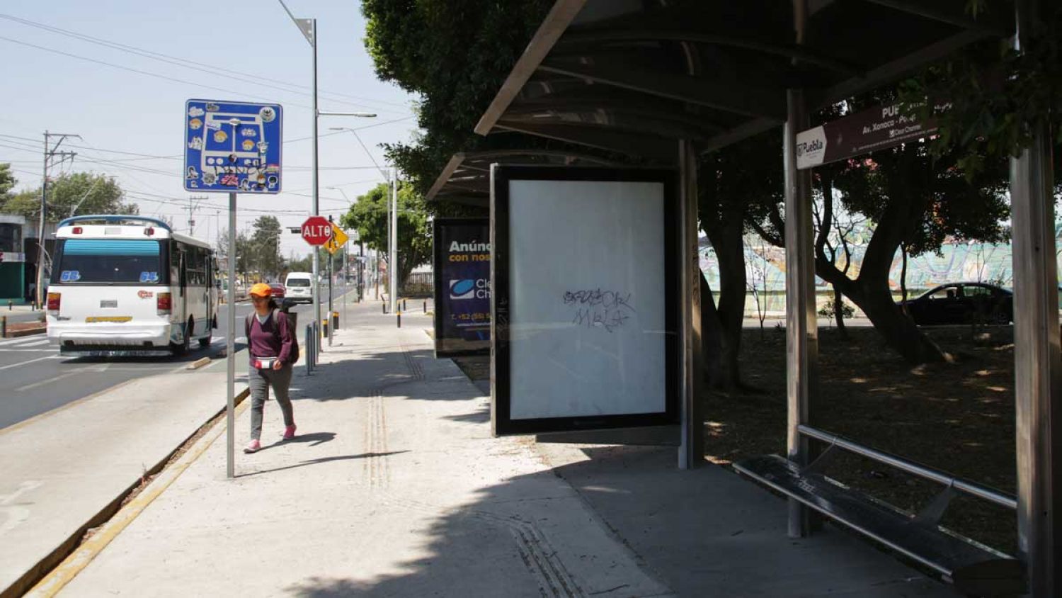 Ayuntamiento de Puebla lanzará licitación para concesionar más de 400 paraderos en julio