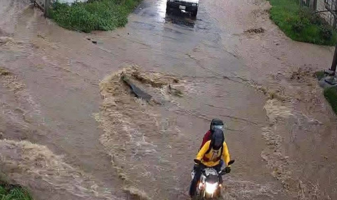 Lluvias arrasan con viveros de cempasúchil en Atlixco