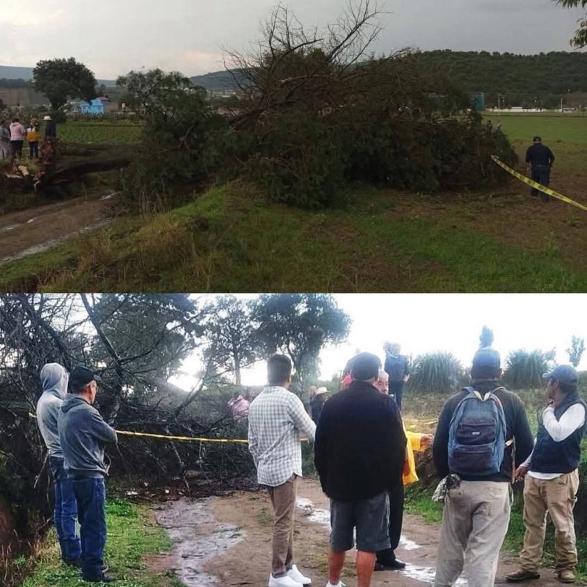 Buscaba refugio de la lluvia y le cae árbol encima en Nanacamilpa