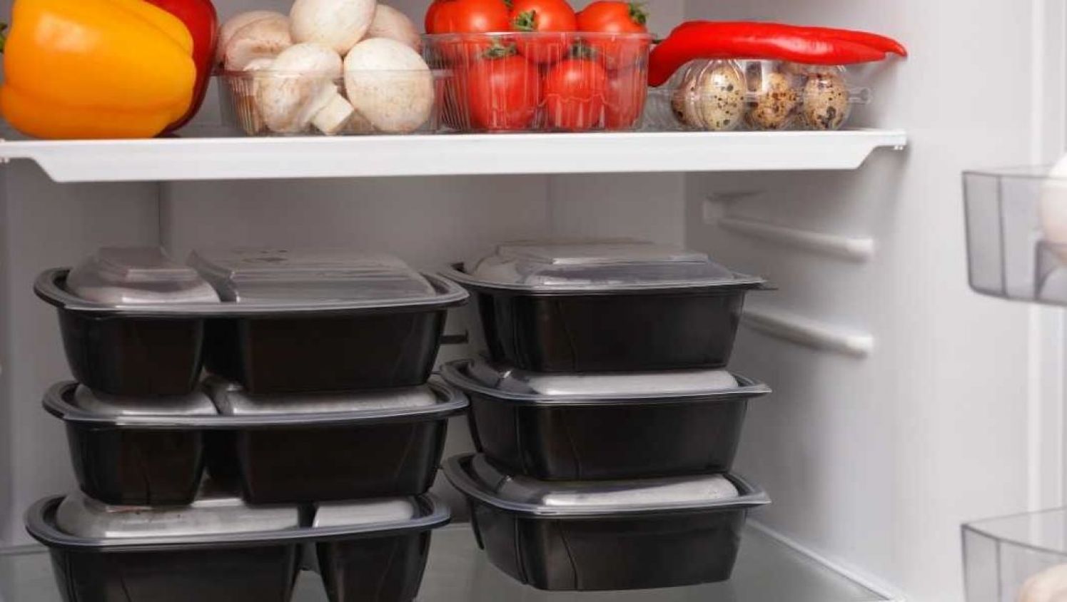 Recipientes de plástico aptos para el refrigerador: ¿Cuál elegir?