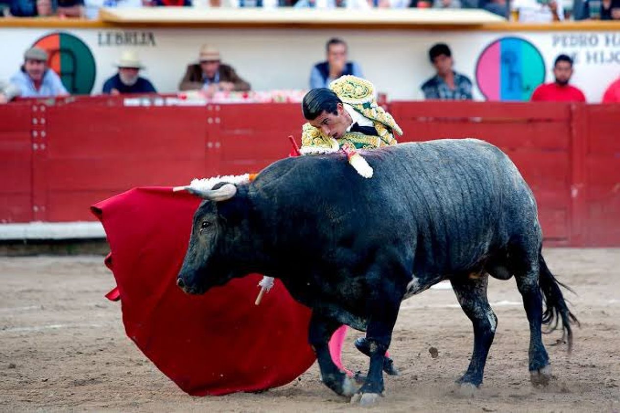 No habrá corridas de toros en la Feria de Puebla 2025