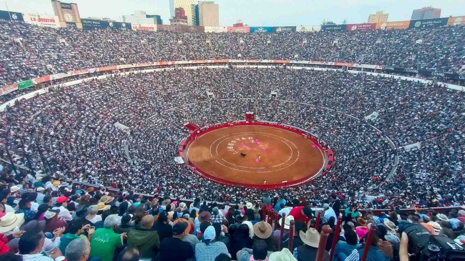 CDMX aprueba prohibición de corridas de toros con violencia