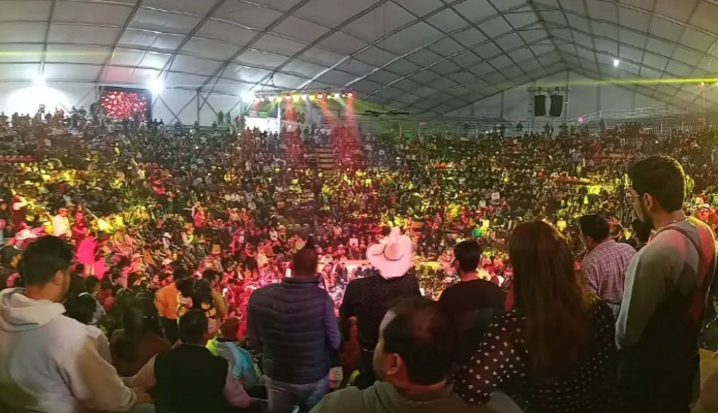 Feria de Puebla no tendrá peleas de gallos en el Palenque 