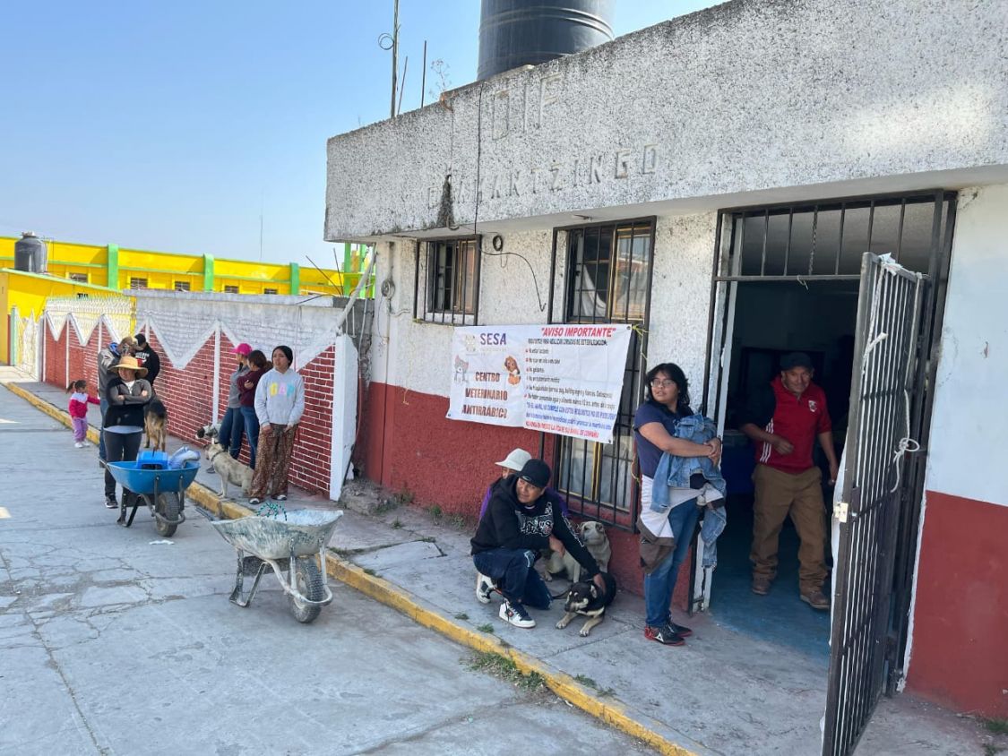 Cirugías gratuitas de esterilización animal en Tlaxcala: 500 procedimientos realizados