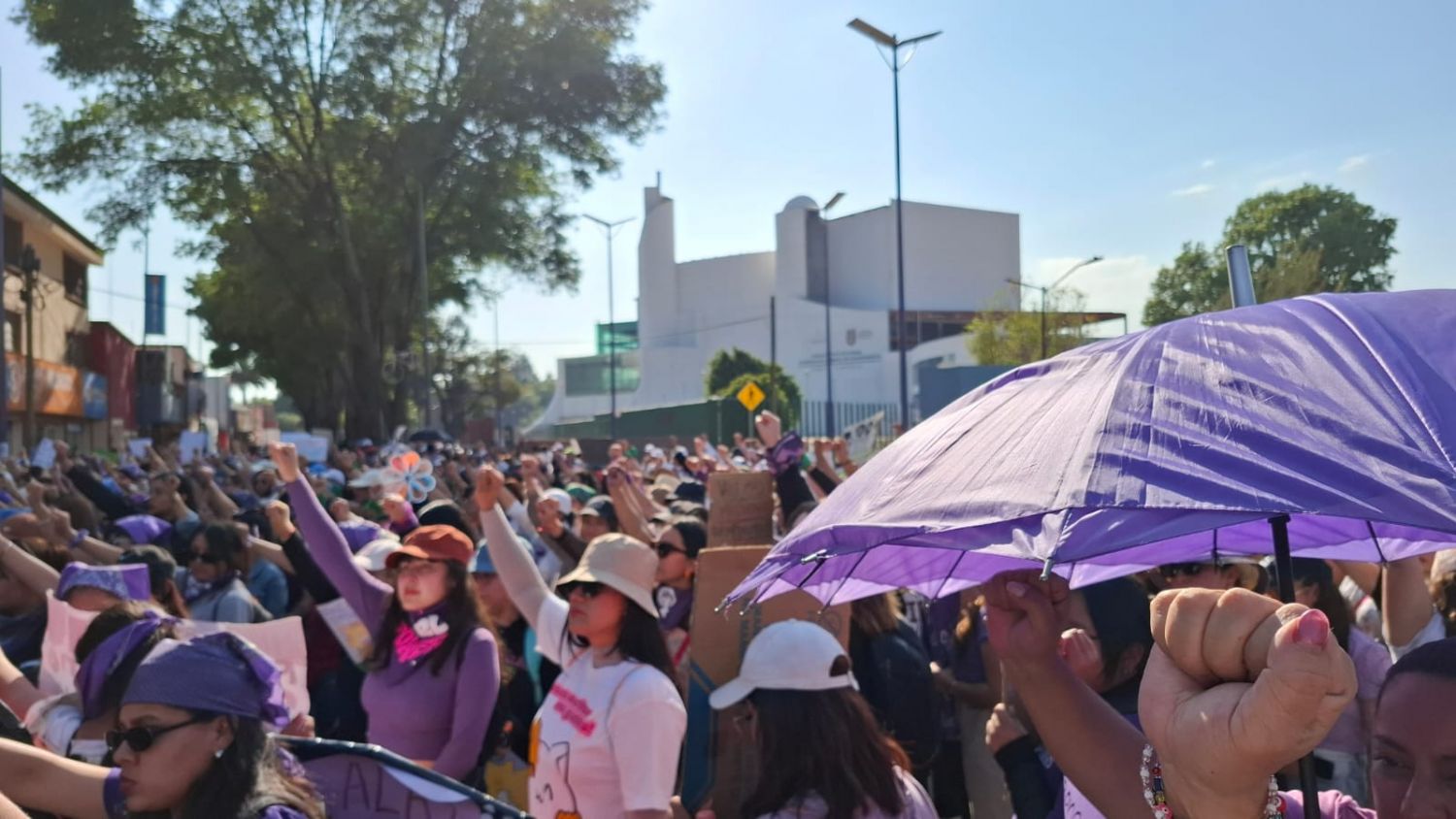 Pese a mujeres en poderes prevalece prácticas machistas en Tlaxcala: Ddser