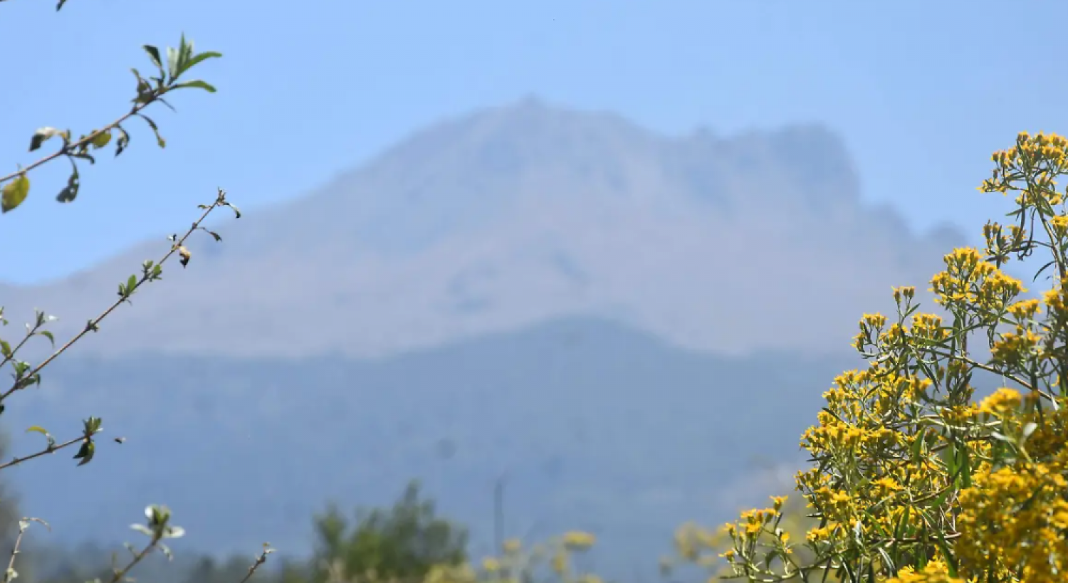 ¿Hay actividad en la Malinche? Lo que expertos y autoridades informan