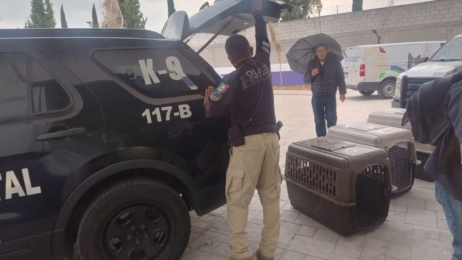 Pondrán en adopción a canes que circulaban en la Capital Tlaxcalteca 