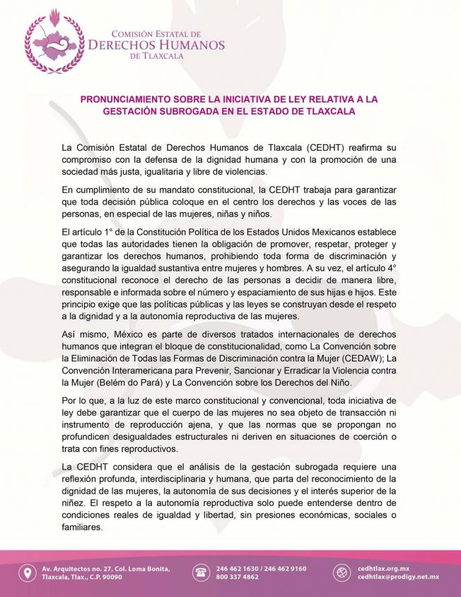 El análisis de la gestación subrogada requiere una reflexión profunda: CEDH