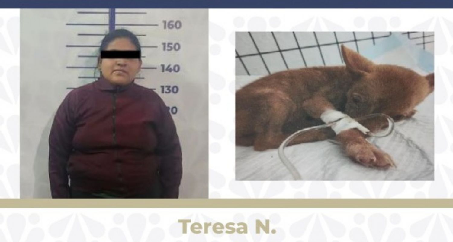 Vinculan a proceso a mujer por abandonar a su perrita