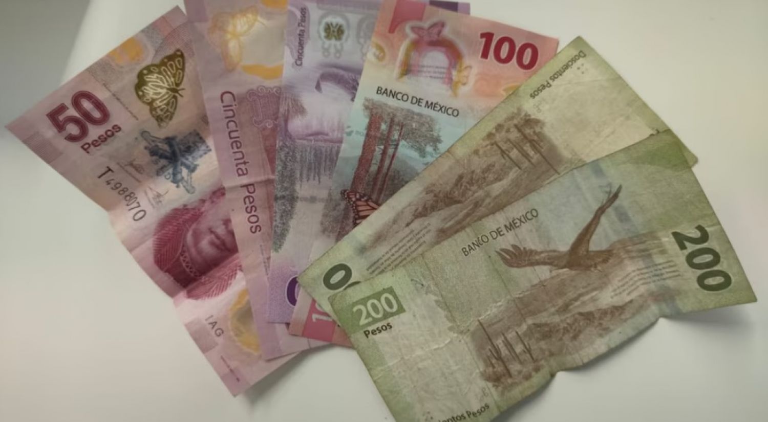 La decisión que puso orden en el cálculo de la prima