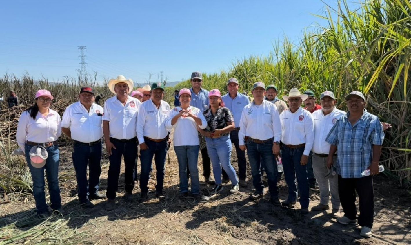 Arranca la zafra y el campo cañero se activa