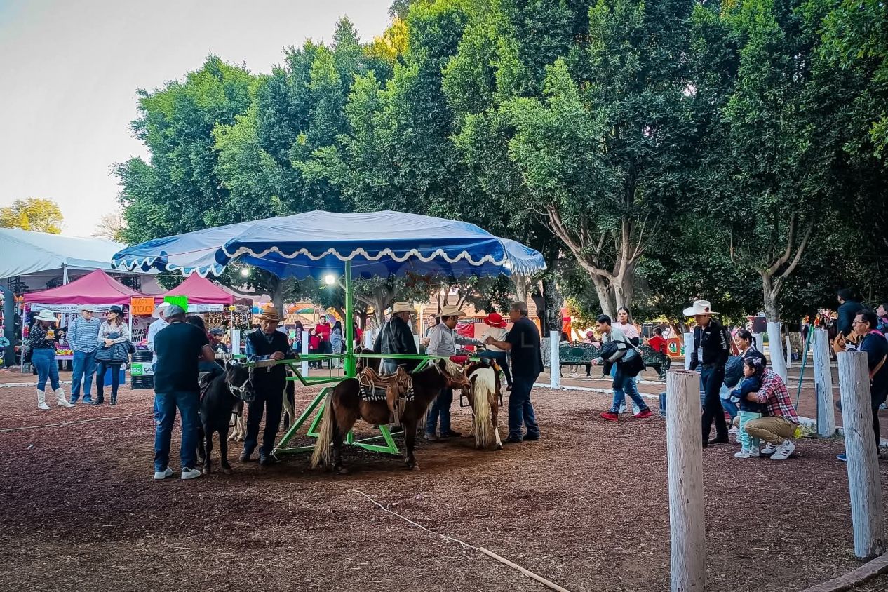 Exige OCPA al Patronato de la Feria protocolos claros para el bienestar animal