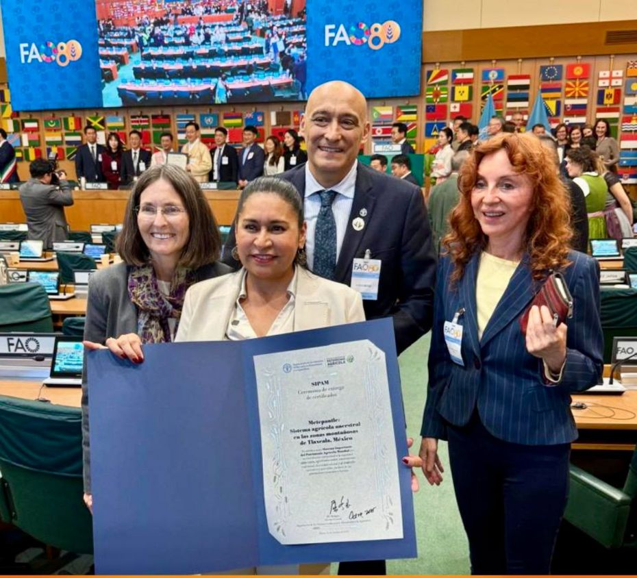 Recibe Ana Lilia Rivera reconocimiento del Metlepantle como Patrimonio Agrícola Mundial 