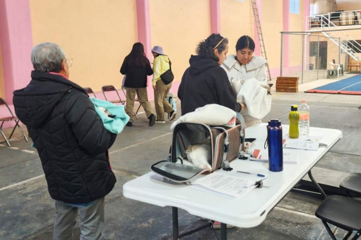 Tlaxcala impulsa campaña gratuita de esterilización para mascotas