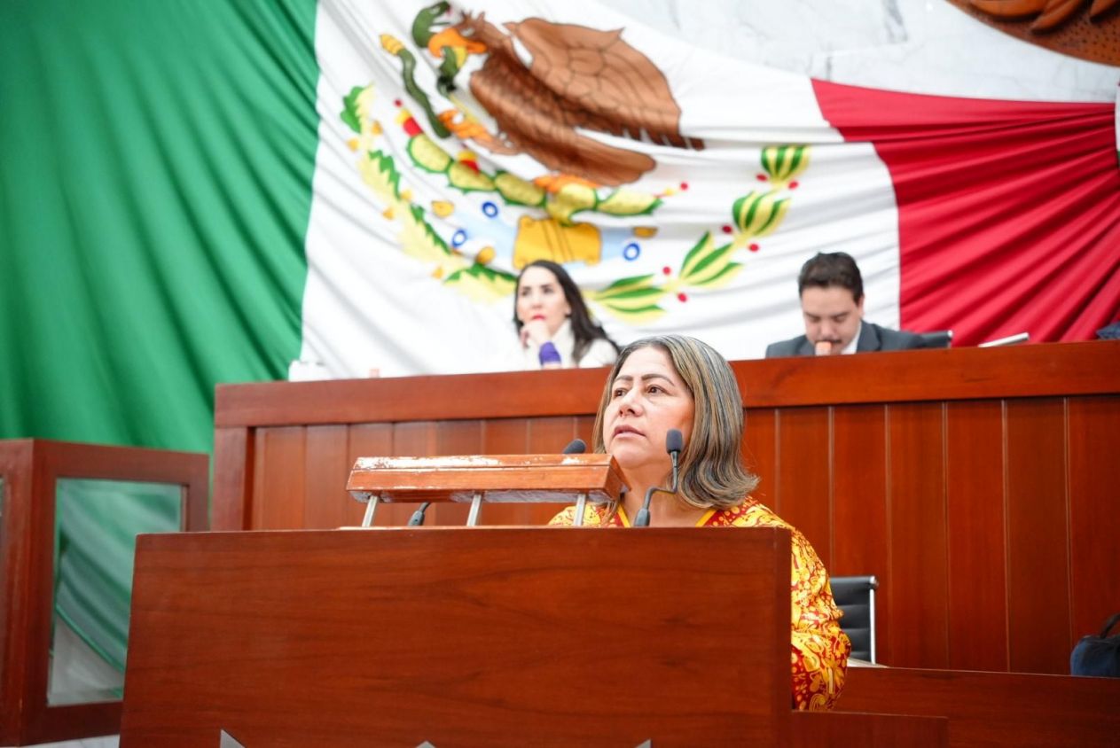 Urge que municipios cumplan con Reglamentos de Bienestar Animal: Blanca Águila