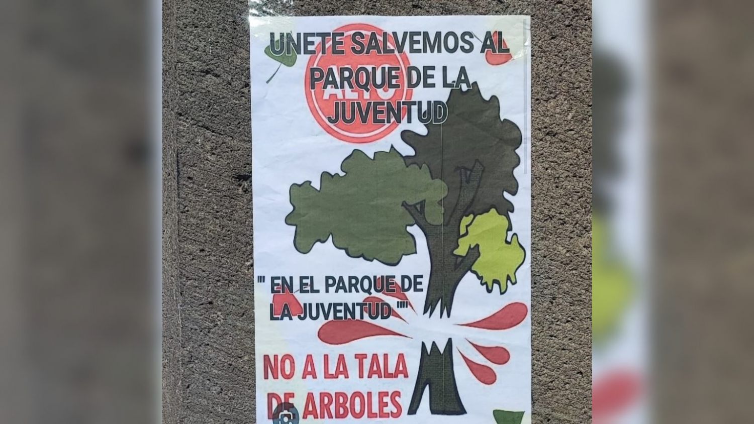 Tlaxcala: ciudadanos protestan por tala de árboles en Parque de la Juventud